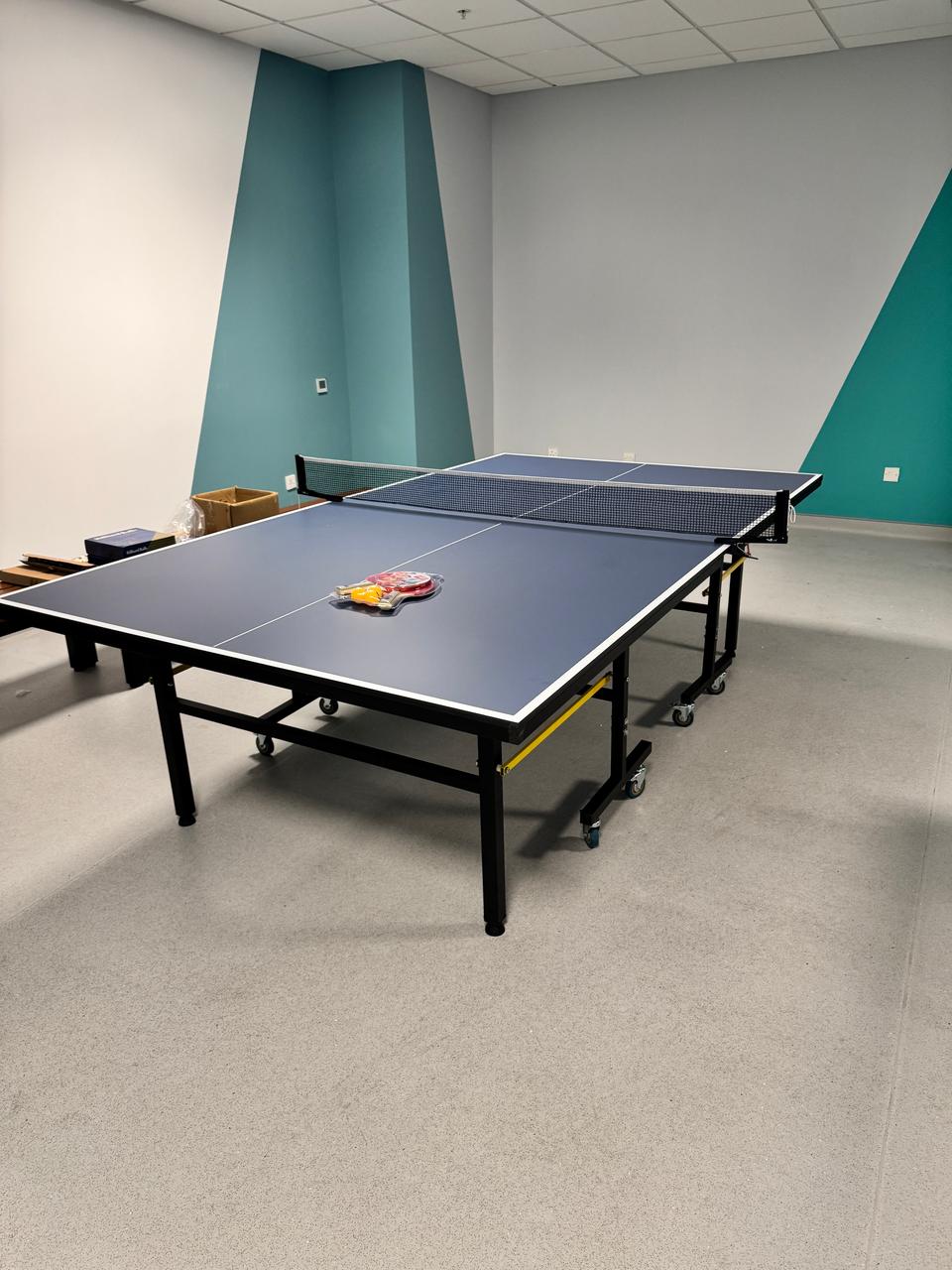 Table Tennis 